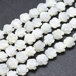 Shell normal de perles blanches de brins, perles coquille en nacre, rose double face, fumée blanche, 10~10.5x4~5.5mm, Trou: 1mm, Environ 39 pcs/chapelet, 14.96 pouce (38 cm)