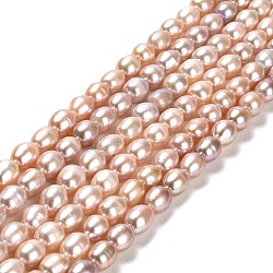 Natural Cultured Freshwater Pearl Beads Strands, Rice, Grade AA, Bisque, 8~9x6.5~7mm, Hole: 0.7mm, about 43~44pcs/strand, 14.17~14.37''(36~36.5cm)