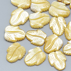 Yellow Shell Cabochons, Leaf, 13~14x10~12x2~3mm