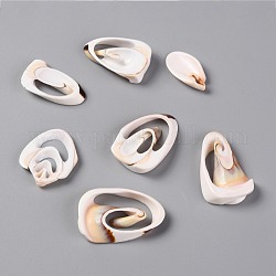 Perles de coquillages naturels d'eau douce, pas de trous / non percés, coquille, couleur de coquillage, 24~35x12~24x3.5~6 mm, environ 198 pcs / 500 g