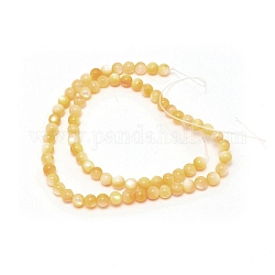 Chapelets de perles de coquillage naturel, ronde, kaki clair, 6mm, Trou: 0.8mm, Environ 69 pcs/chapelet, 15.16 pouce (38.5 cm)