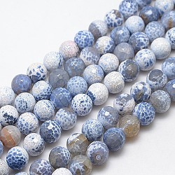 Fuoco naturale agata crepitio fili di perline, tinto, tondo sfaccettato, azzurro, 14mm, Foro: 1 mm, circa 28pcs/filo, 14.56 pollice