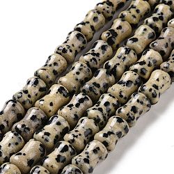 Dalmata naturale perline di diaspro fili, bastone di bambù, 12x8mm, Foro: 1.2 mm, circa 31pcs/filo, 14.88'' (37.8 cm)