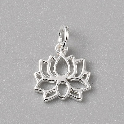 Charms in ottone&nbsp;FIND-WH0159-63S-05-1