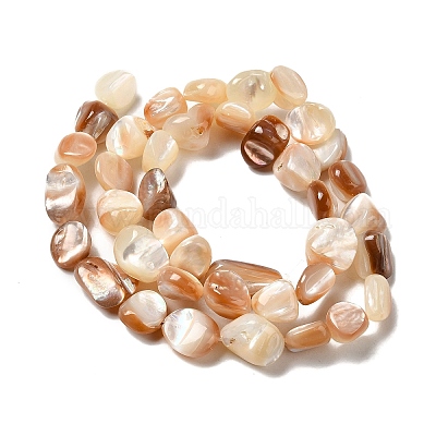 Wholesale Natural Sea Shell Beads Strands 