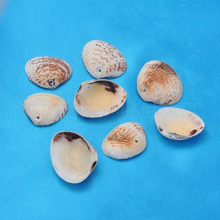Cuentas de concha de almeja natural BSHE-S114-1