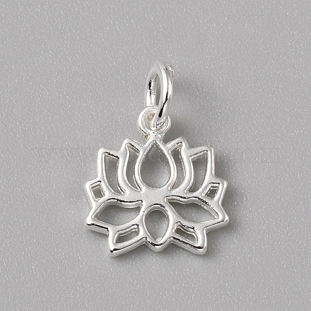 Charms in ottone&nbsp;FIND-WH0159-63S-05-1