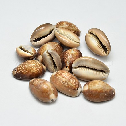 Natürliche Schale ovale Perlen X-BSHE-O007-44-1