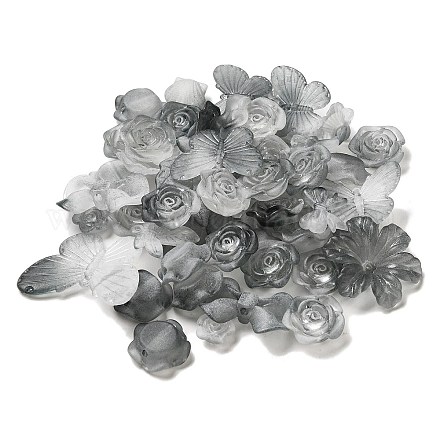 Perles en acrylique transparente OACR-H039-04C-1