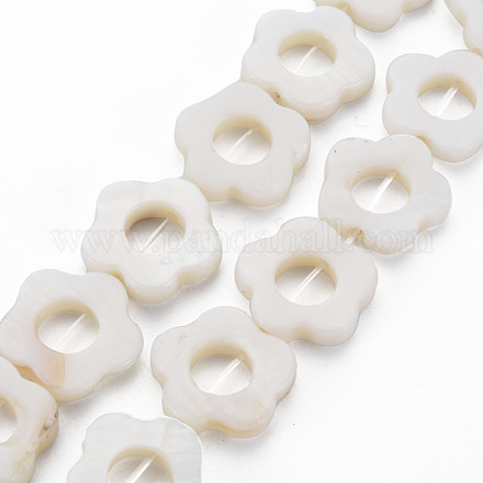 Perlas de concha de agua dulce marcos hebras SHEL-T009-14A-1