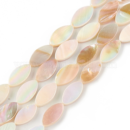 Eau douce naturelle de coquillage perles brins SHEL-T009-22-1