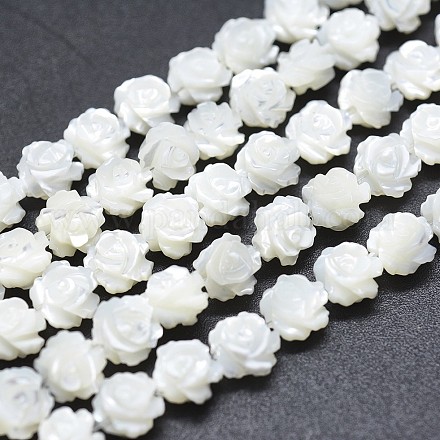 Shell normal de perles blanches de brins SSHEL-P015-01A-10mm-1