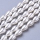 Perles de perles de coquillages polies BSHE-L042-A04-1