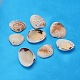 Natural Clam Shell Beads BSHE-S114-1
