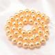 Round Shell Pearl Bead Strands BSHE-L011-10mm-A008-3