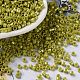 Baking Paint Glass Seed Beads X-SEED-S042-15A-07-1