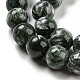 Natural Seraphinite Beads Strands G-E557-22C-01-3
