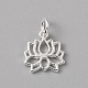 Charms in ottone&nbsp;FIND-WH0159-63S-05-1
