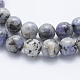 Brins de perles de larvikite naturelles X-G-E443-A11-3