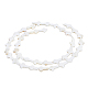 Dicosmétique 2 brins croisés brins de perles de coquillage naturel SSHEL-DC0001-02-1