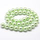 Polished Round Grade A Shell Pearl Bead Strands BSHE-M027-6mm-21-3