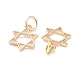 Brass Micro Pave Clear Cubic Zirconia Charms KK-G418-01G-3