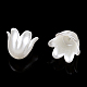 Bombe de peinture plastique abs imitation perles nacrées X-MACR-N013-001F-2
