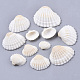 Natural Shell Beads SSHEL-S258-73-2