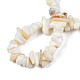 Fili di perle di conchiglia trochid naturale / trochus SHEL-S258-080-A01-4