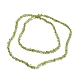 Natürlichen Peridot Perlen Stränge&nbsp;X-G-E607-A06-2