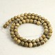 Natural Chrysanthemum Stone/Fossil Coral Beads Strands G-D135-6mm-01-2