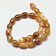 Oval Natural Striped Agate/Banded Agate Bead Strands G-M257-16x12mm-13-2