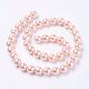 Chapelets de perles de coquille BSHE-L035-6mm-I01-2