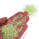 Glow in the Dark Luminous Transparent Glass Seed Beads SEED-YWC0001-01I-5