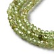 Natural Peridot Beads Strands G-M421-A01-01-4