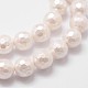 Cuentas perlas de concha de perla BSHE-L029-01-8mm-3