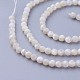 Chapelets de perles de coquillage G-F619-27-3mm-3