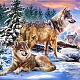 DIY Wolf & Scenery Diamond Painting Kits DIAM-PW0001-252L-1