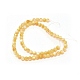 Chapelets de perles de coquillage naturel BSHE-WH0007-10-1