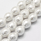 Chapelets de perles de coquille BSHE-P024-03-1