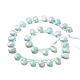 Chapelets de perles en amazonite naturelle G-I246-11-1