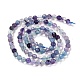 Natural Fluorite Beads Strands G-K315-B01-2