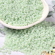 Выпечка краска стеклянные бусины SEED-P006-03A-33