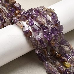 Fili di perline di quarzo lodolite viola naturale fantasma&nbsp;G-E483-69