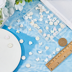 70 stücke 5 arten natürliche weiße muschel perlen sets&nbsp;BSHE-FH0001-03