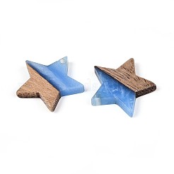 Colgantes de resina y madera de nogal&nbsp;RESI-T057-37C