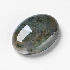 Natur Moos Achat Cabochons&nbsp;X-G-F296-09-22x30mm