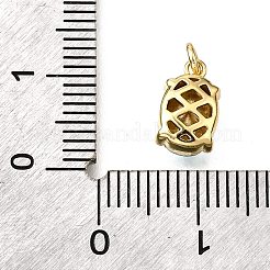 Messing Glas Anhänger / charms&nbsp;KK-V011-33G