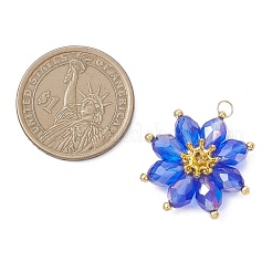 Pendentifs en verre&nbsp;PALLOY-MZ01143