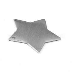 Colgantes de acero inoxidable 304 resistentes al deslustre&nbsp;STAS-F271-04D-P
